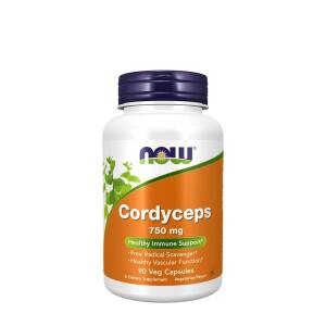 Cordyceps