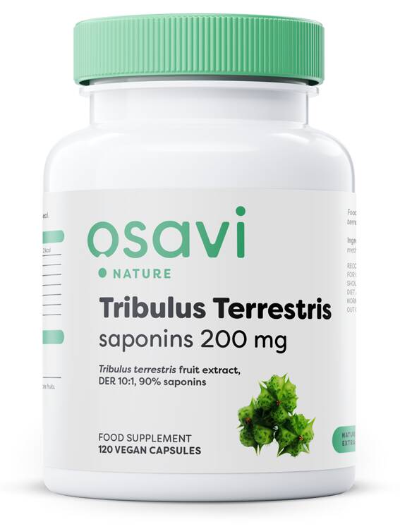 Tribulus terrestris